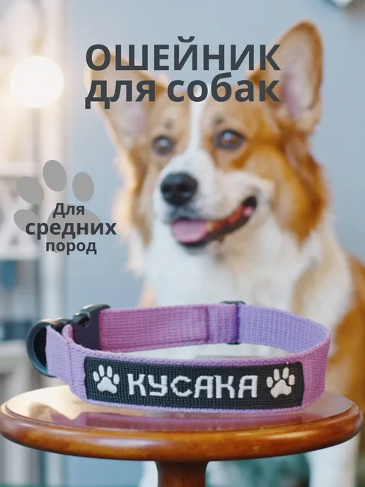.RONY. Ошейник для собак с вышивкой, фиолетовый