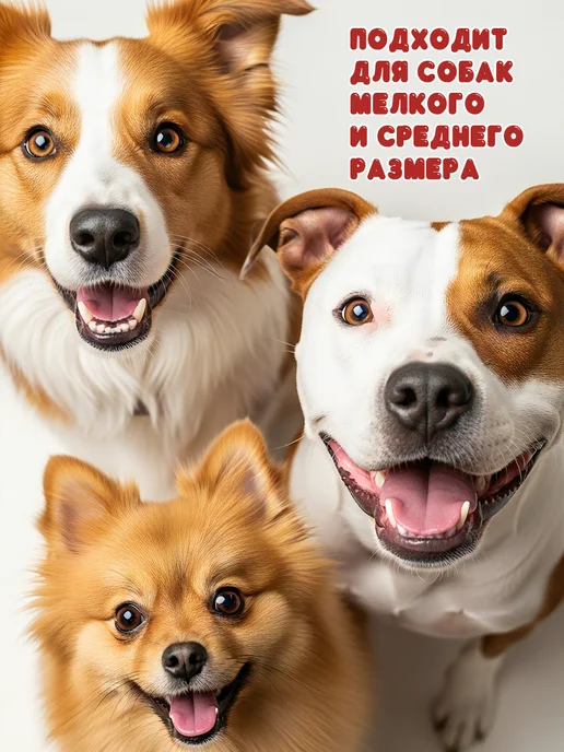 Catz&Dogz Игрушка для собак без наполнителя, коричневый, фото 6