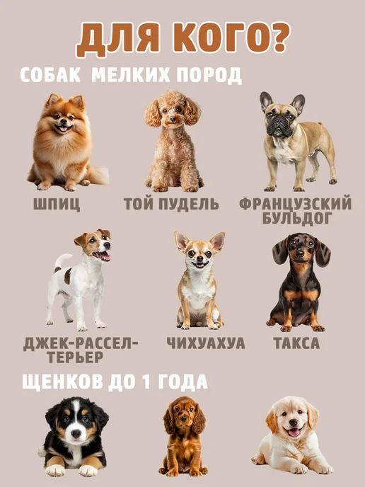 Catz&Dogz Игрушка для собак без наполнителя, серый, фото 6