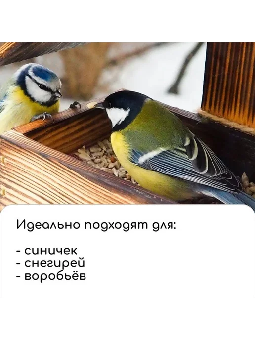 Набор для создания деревянной птициной кормушки, бежевый, фото 3