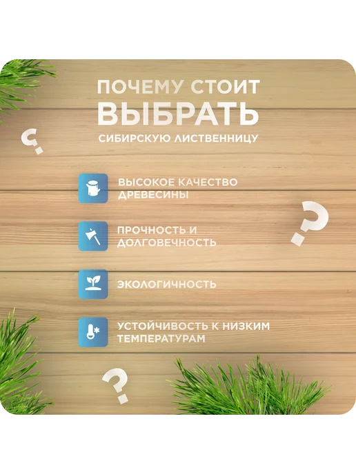 Половая доска Шпунт, лиственница, ВС 28х90х3000мм 3 шт, 3 шт, фото 3