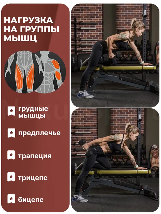 Nexus Sport Неразборные гантели 10 кг×2 для тренировок и спорта, 10 кг, фото 6