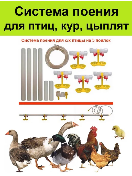 Система поения 5 поилок для кур цыплят птиц гусей, вариант