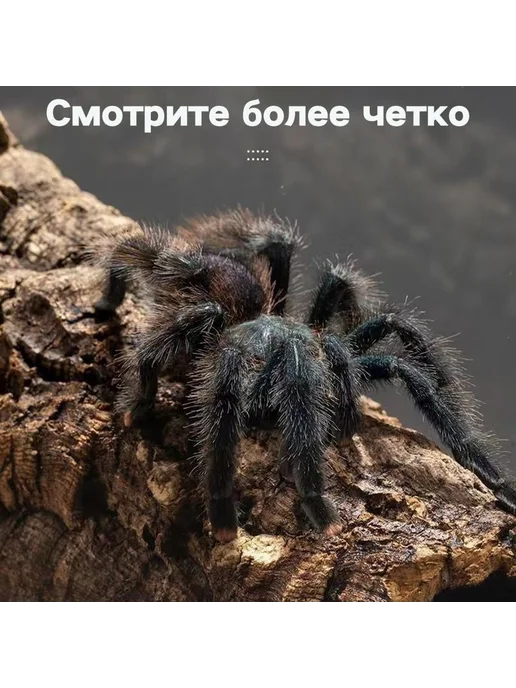 Акриловый террариум для рептилий и насекомых 100*100*100, 100x100, фото 3