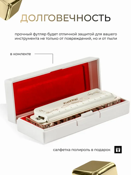 Губная гармошка профессиональная, вариант