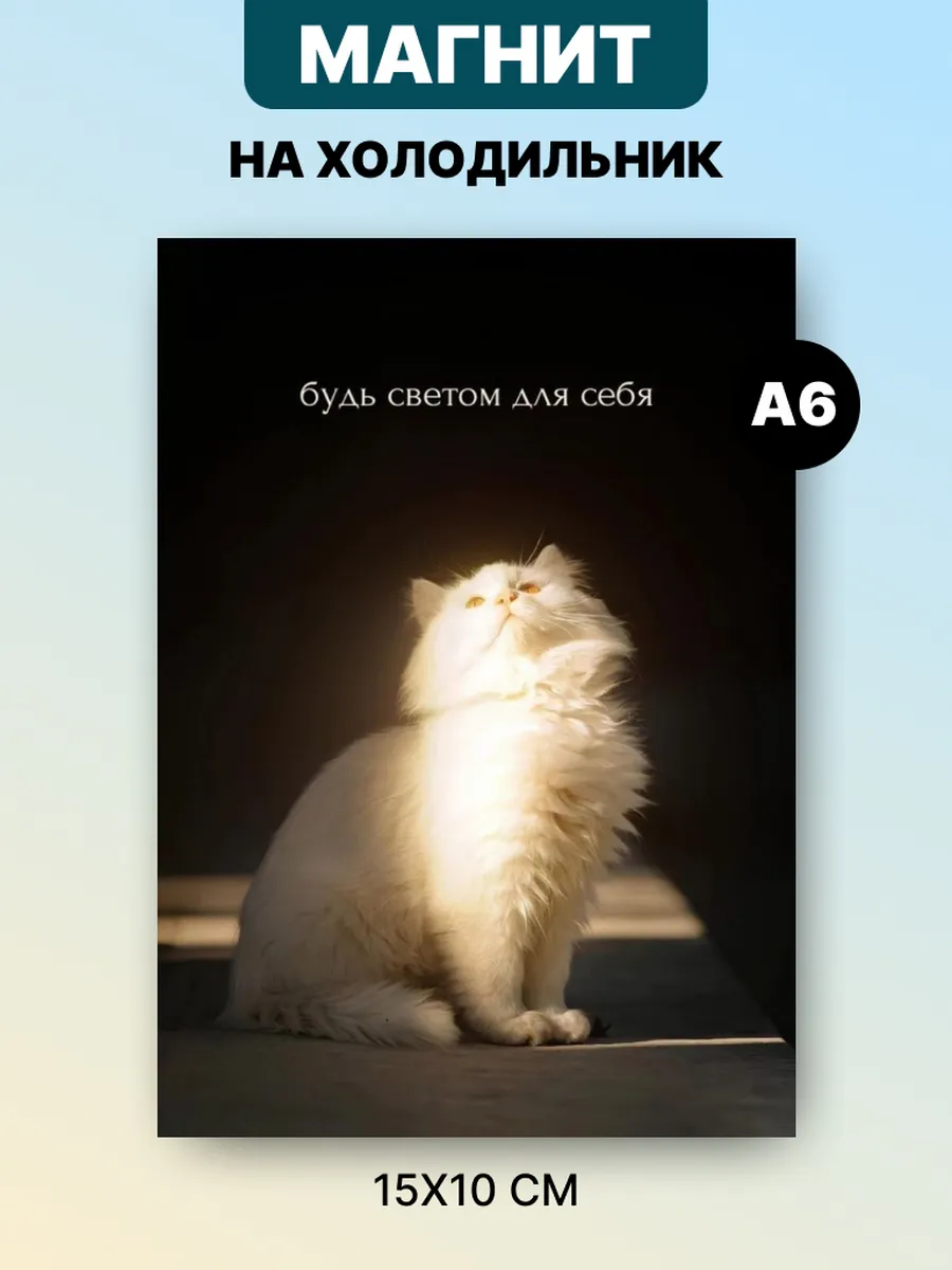 Магнит на холодильник с аффирмацией и мотивацией