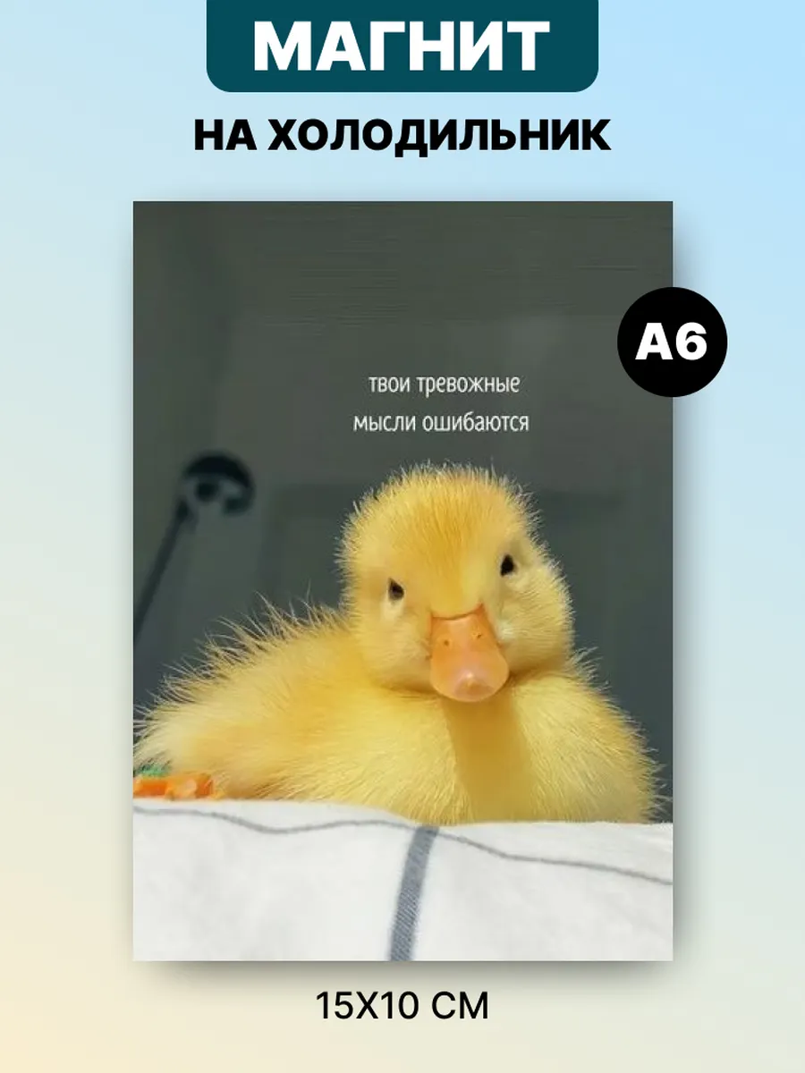 Магнит на холодильник с аффирмацией и мотивацией