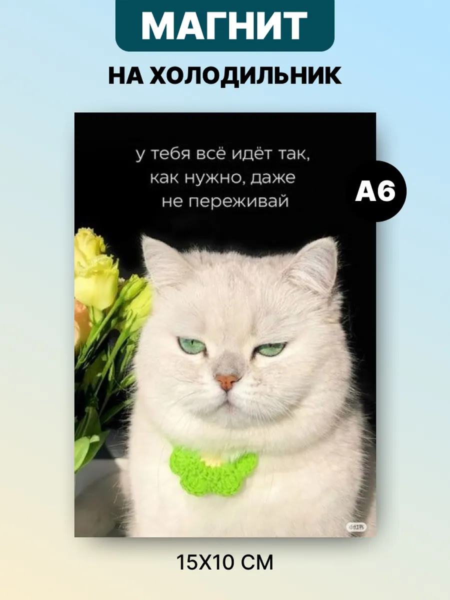 Магнит на холодильник с аффирмацией и мотивацией