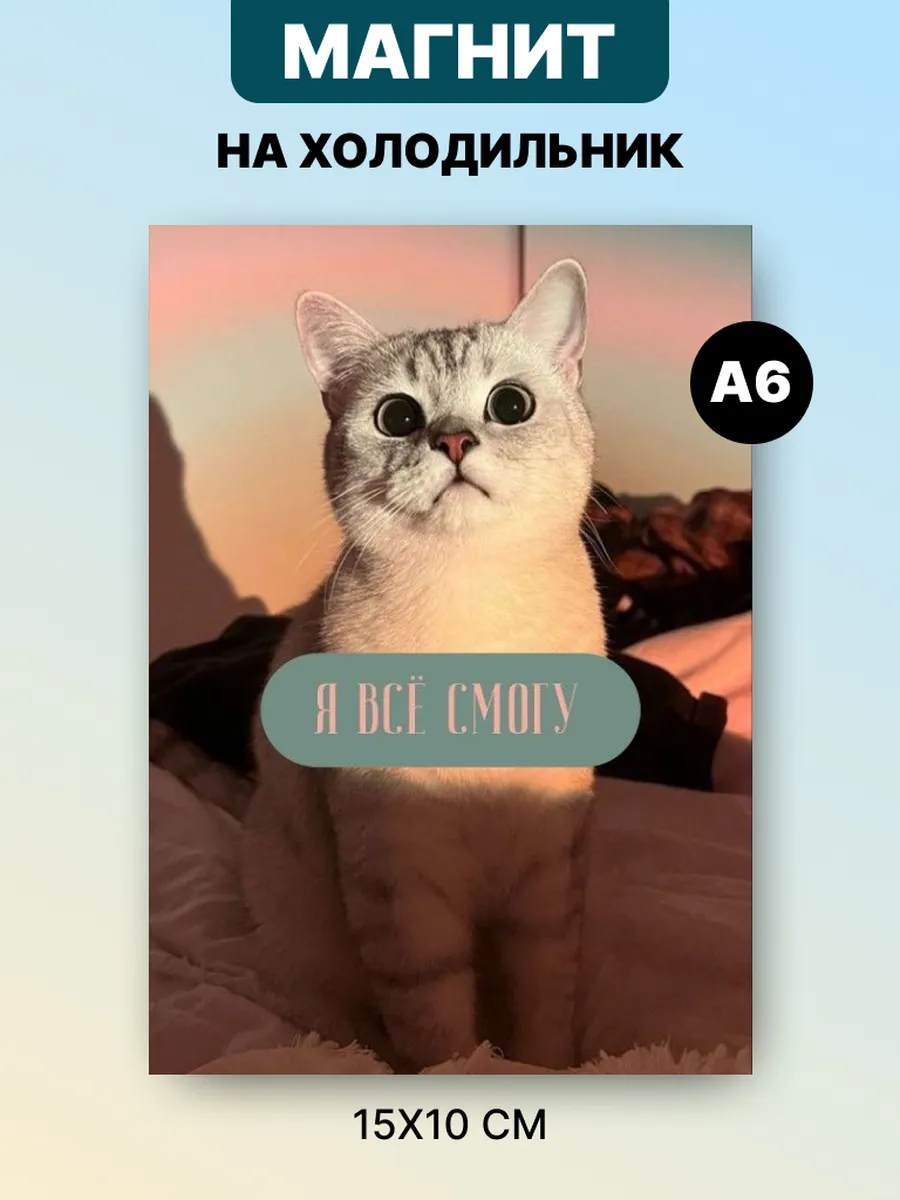 Магнит на холодильник с аффирмацией и мотивацией