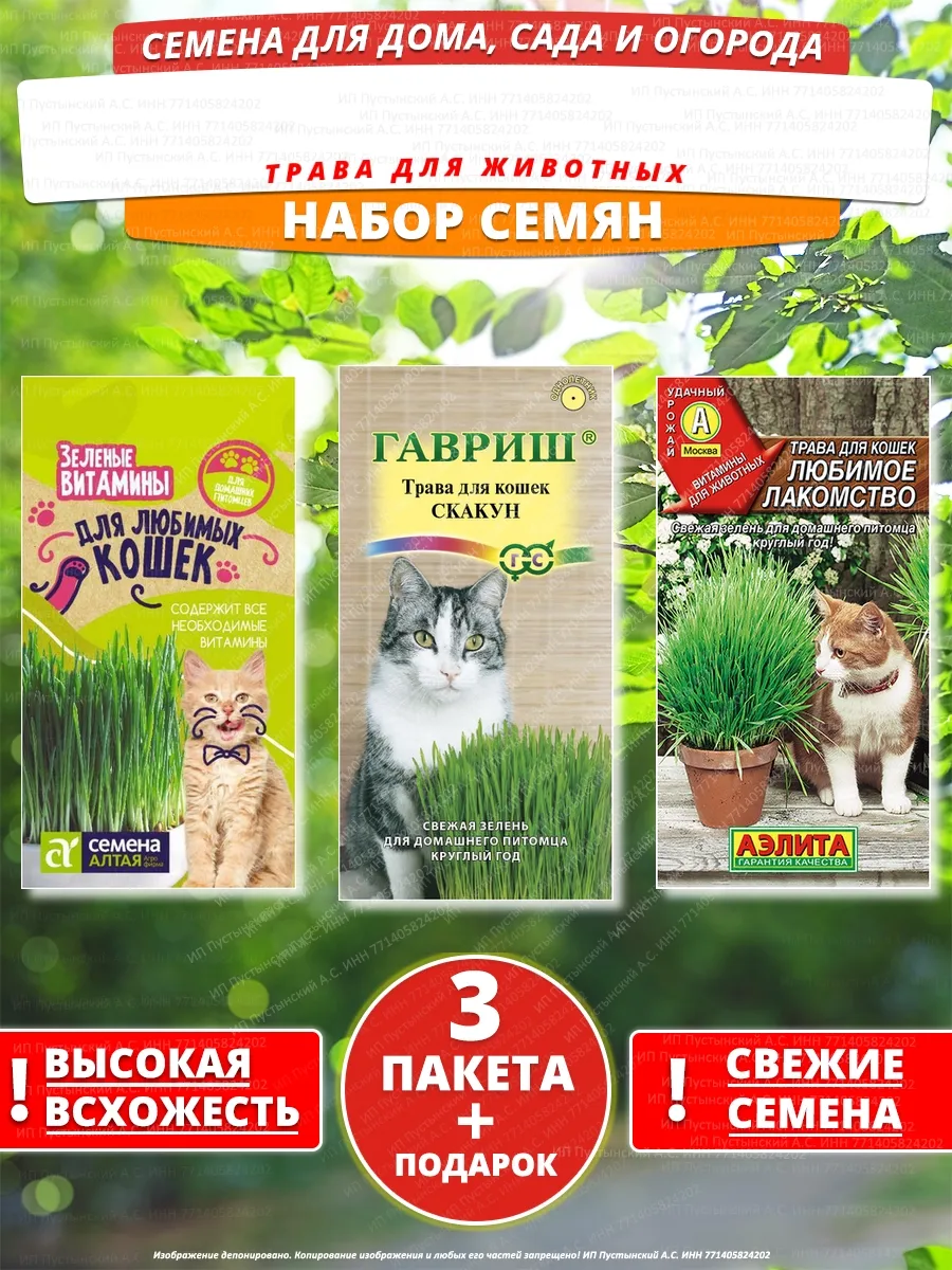 Семена трава для животных для дома сада посадки