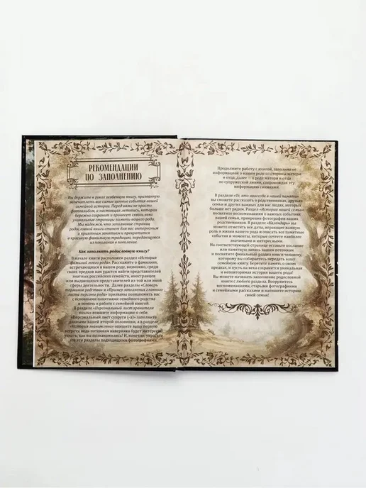 Стильная родословная книга для семьи, вариант, фото 2