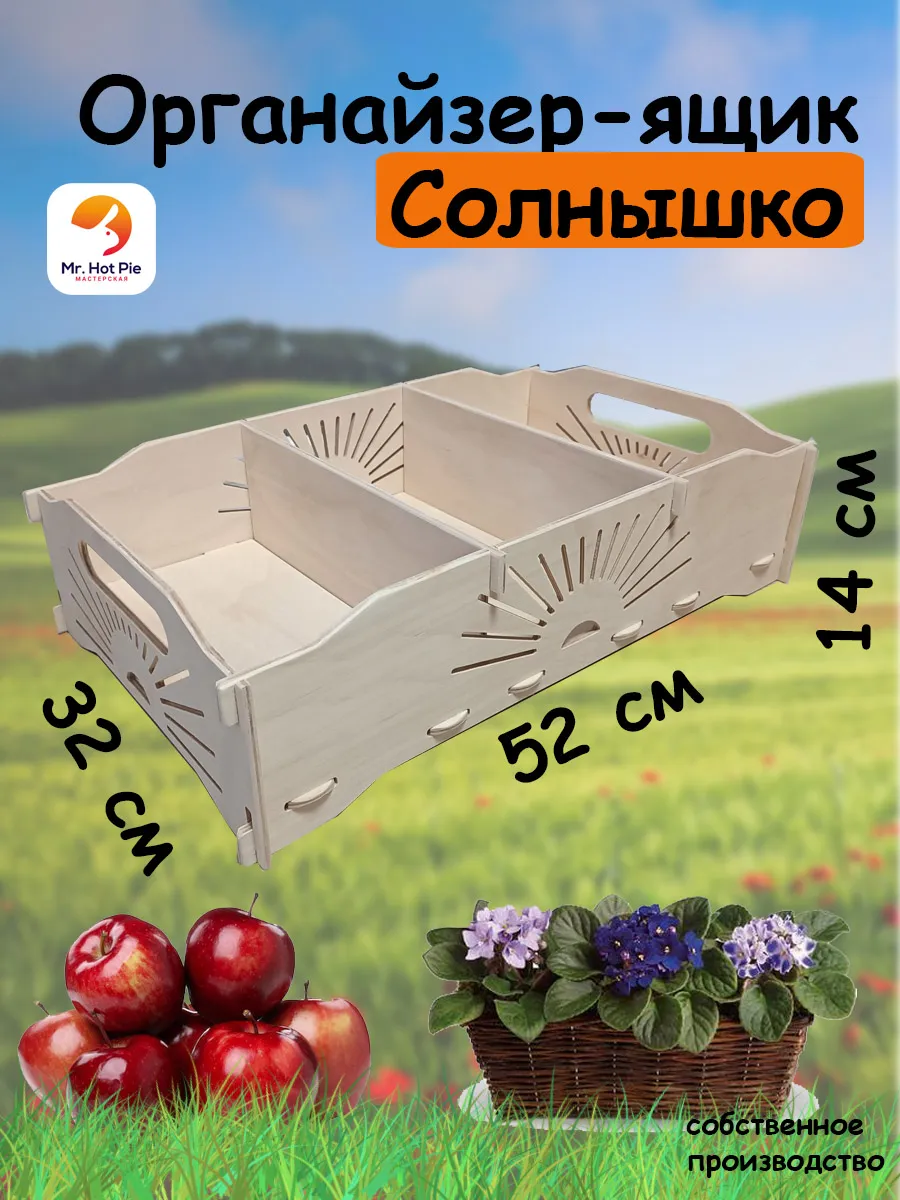 Ящик органайзер L