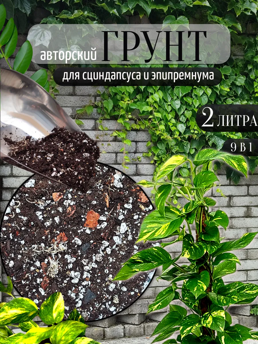 Грунт для Сциндапсуса и Эпипремнума 2 л