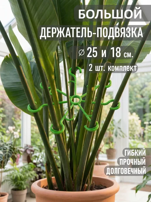 MSPOLYCO Опора для растений в саду, набор 18 и 25 см, зеленый, фото 2
