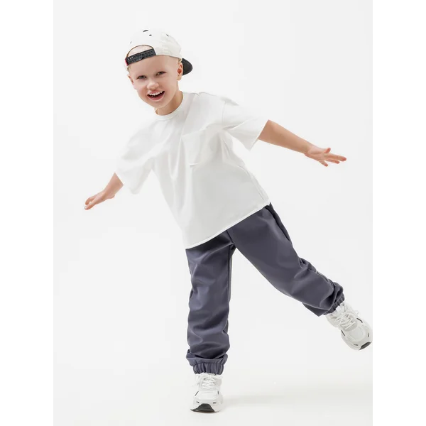 Штаны непромокаемые демисезонные софтшелл