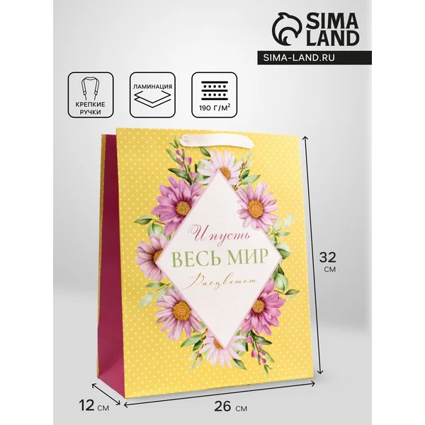 Пакет подарочный, упаковка 26×32×12 см