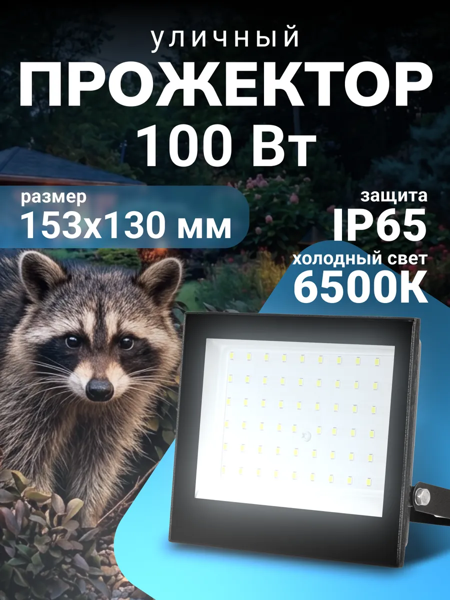 Прожектор уличный светодиодный 100 Вт, холодный белый 6500К