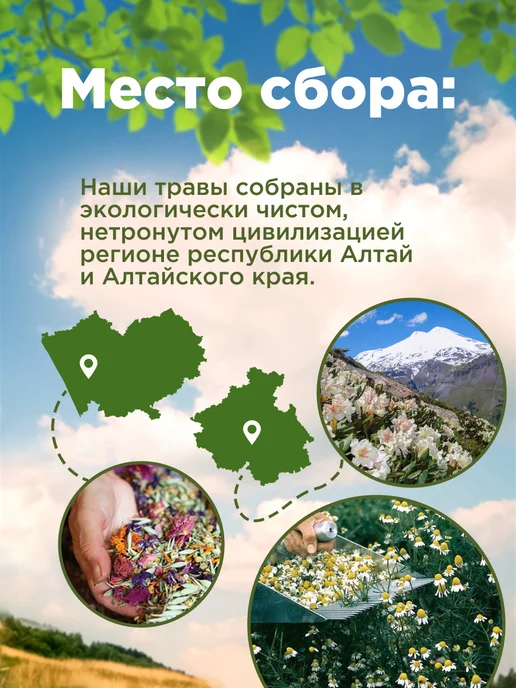 Родные травы Осина кора натуральная молотая сушеная, вариант, фото 2