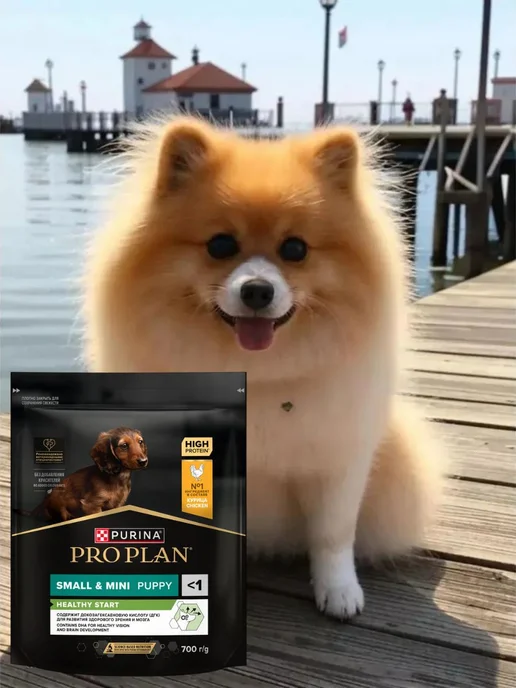 Сухой корм PRO PLAN Healthy Start для собак, мелкие, щенки, курица, 0,7 кг, фото 3