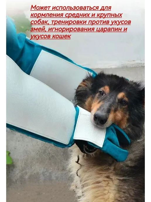 Рукав для дрессировки собак чехол-накладка, вариант, фото 2