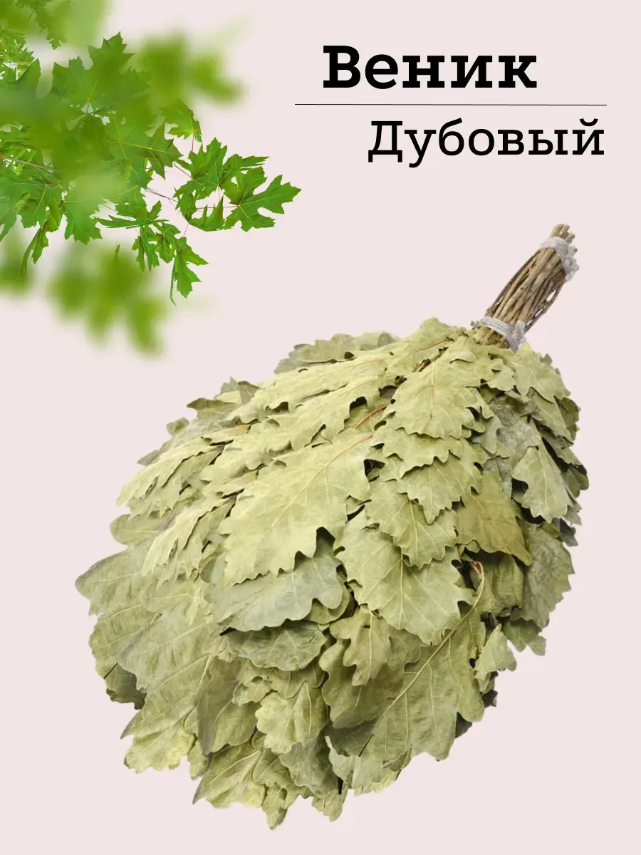 Дубовый веник для бани