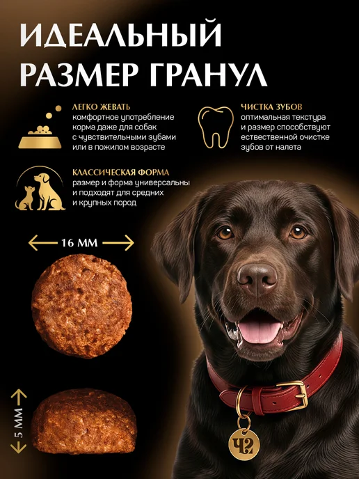 Сухой корм Четвероногий Гурман для собак, говядина, 3 кг, фото 4