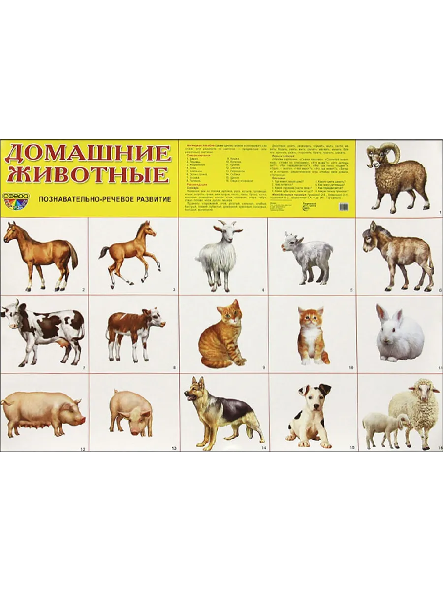 Плакат А2. Домашние животные
