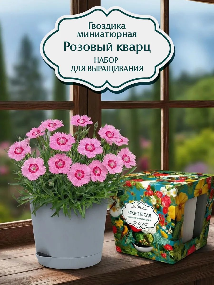Гвоздика миниатюрная Розовый кварц