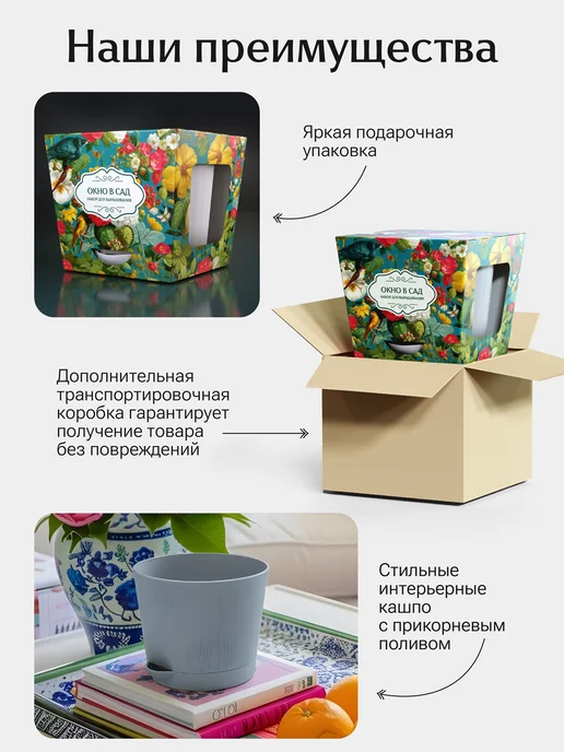 Окно в сад Лаванда фиолетовое обещание Набор для выращивания, фиолетовый, фото 3
