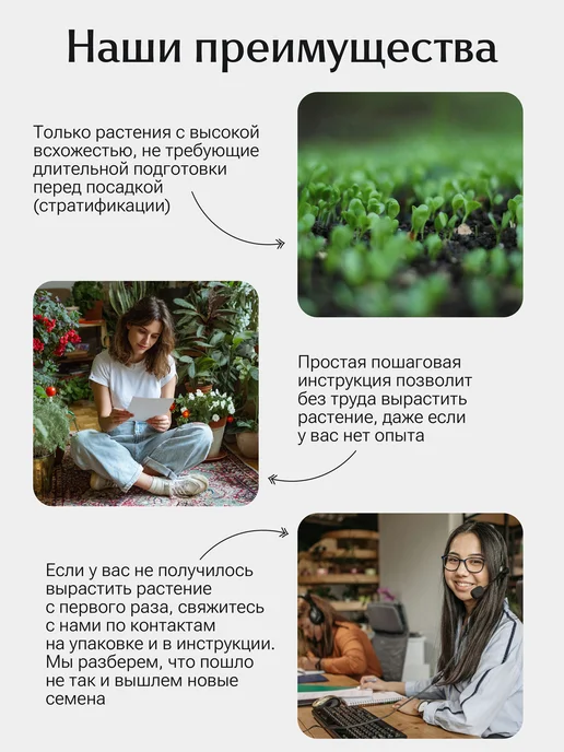 Окно в сад Лаванда фиолетовое обещание Набор для выращивания, фиолетовый, фото 4