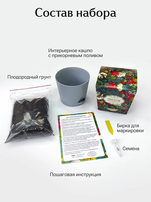 Окно в сад Лаванда фиолетовое обещание Набор для выращивания, фиолетовый, фото 5