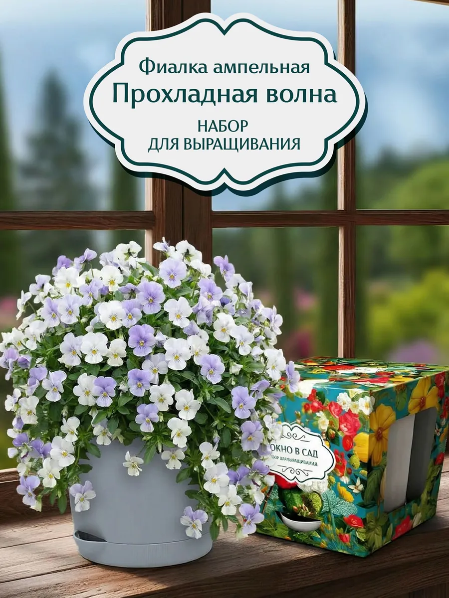 Фиалка ампельная Прохладная волна Набор для выращивания