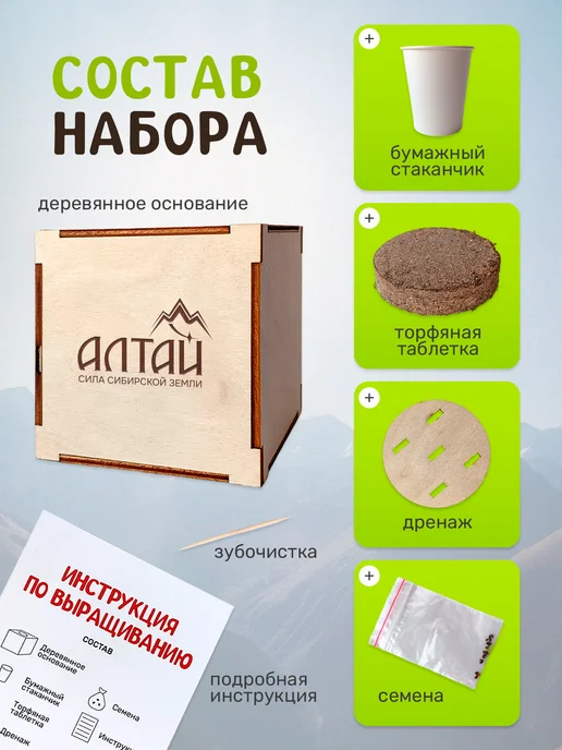 Сад на окне Жимолость Набор для выращивания растений, вариант, фото 2