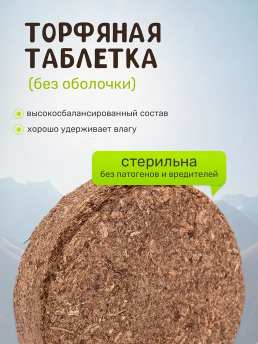 Сад на окне Жимолость Набор для выращивания растений, вариант, фото 3