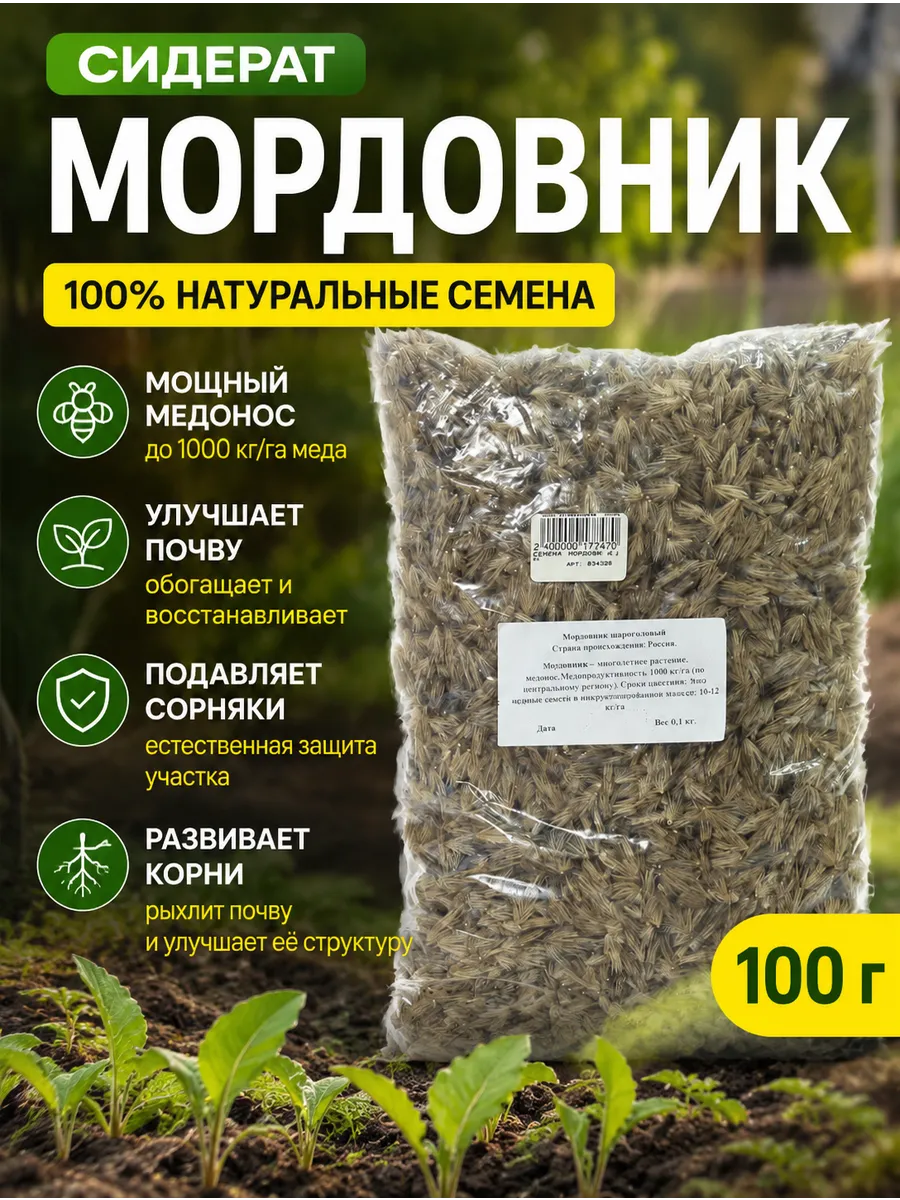 Сидерат Мордовник 100 г семена медоноса для почвы
