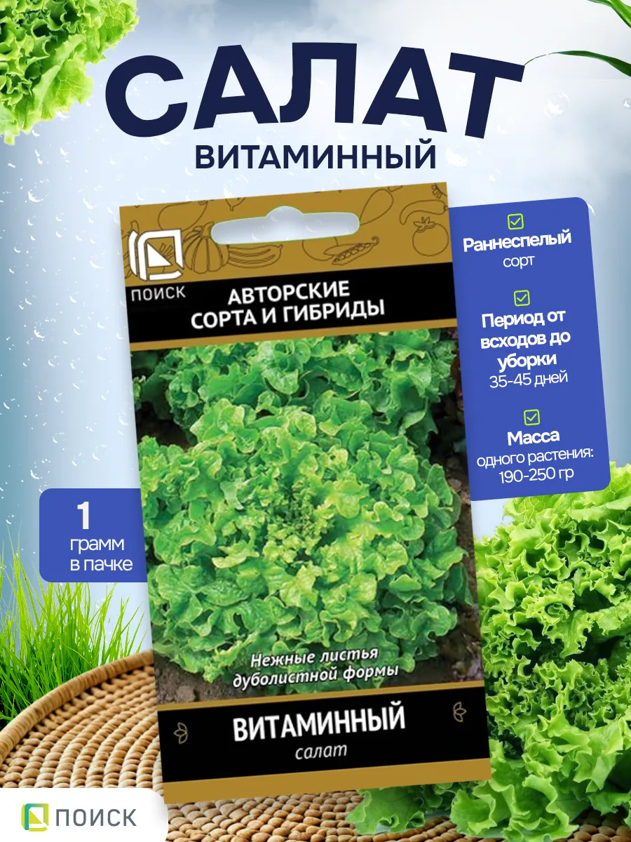 Салат семена Витаминный 1 гр - 1 пачка