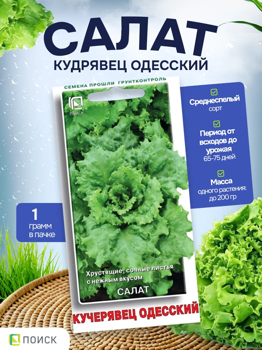 Салат семена Кучерявец одесский 1 гр - 1 пачка