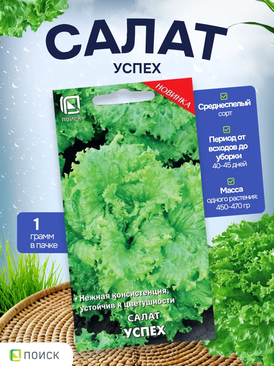 Салат семена Успех 1 гр - 1 пачка