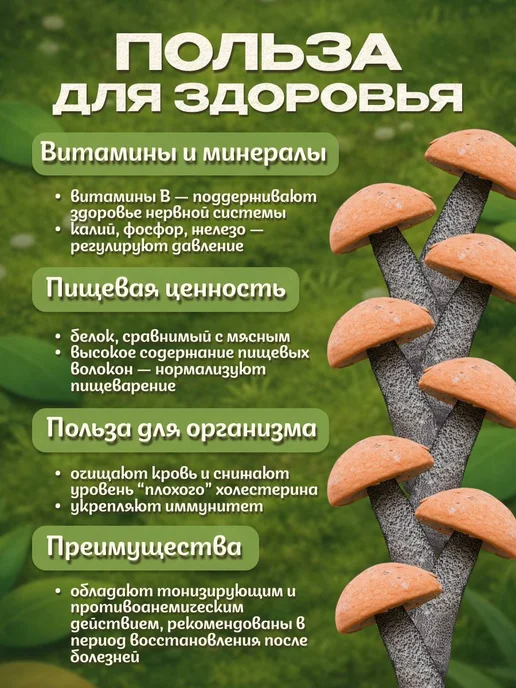 Лесная фея Белые грибы и подосиновики сушеные 100 г (набор), 200 г, фото 4