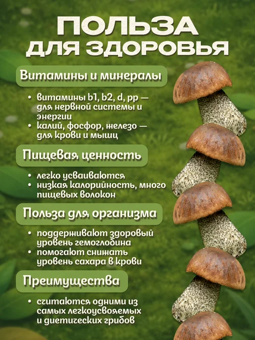 Лесная фея Грибы подберезовики сушеные 100г, 200 г, в упаковке 234 г, фото 4