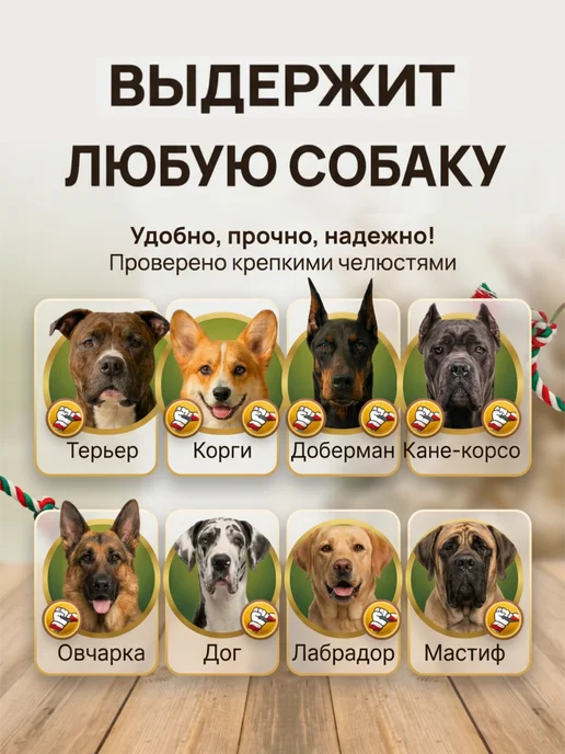Golden Heart Winner Канат игрушка для собак крупных и средних пород 60 см, белый, фото 3