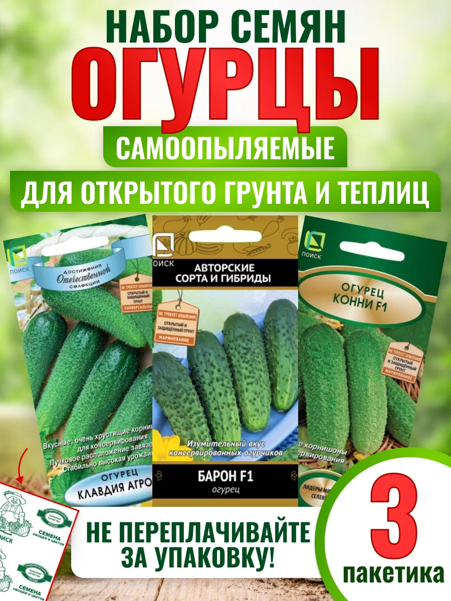 Семена огурцов самоопыляемые для открытого грунта и теплиц