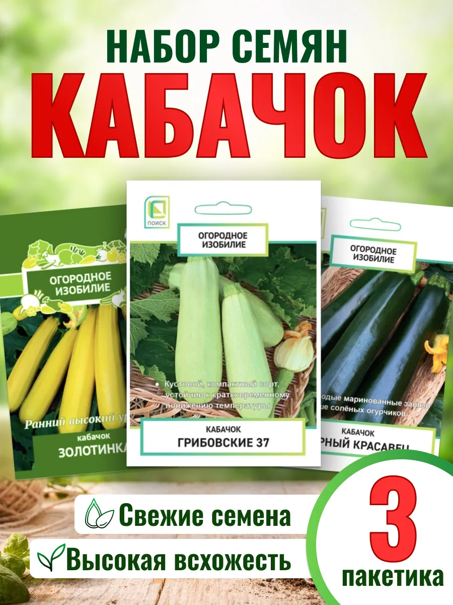Семена кабачков кустовых раннеспелые