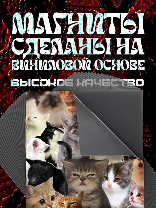 ЛиЛ Принт Набор магнитов 5 шт с принтом популярные коты мемы, 5 шт, фото 4
