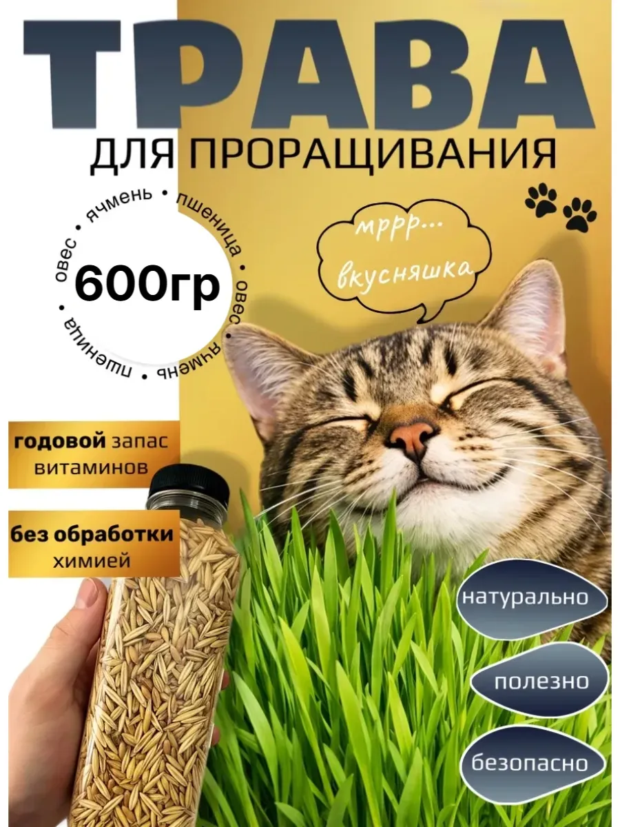 Трава для домашних животных . Для выращивания. Кошек. Собак.