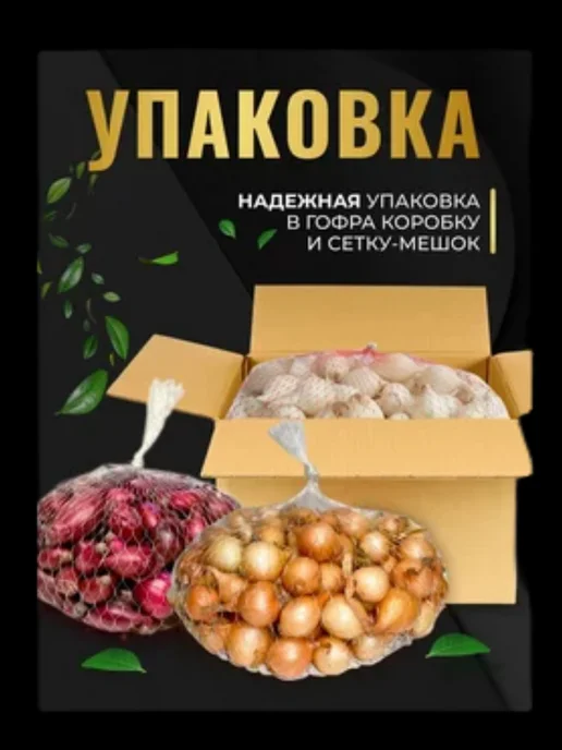 аромат лучка Лук севок на посадку Дедуля 0.5 кг, 0,5 кг, фото 2