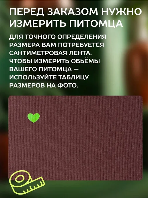 chekalan anna Одежда для кошек сфинкс и собак мелких пород, коричневый, фото 2