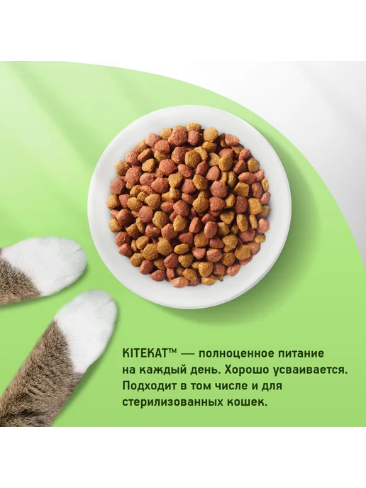 Сухой корм Kitekat Кошек Аппетитная для собак, телятина, 1,3 кг, фото 4