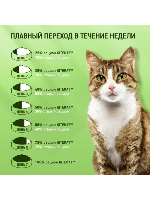 Сухой корм Kitekat Кошек Аппетитная для собак, телятина, 1,3 кг, фото 6