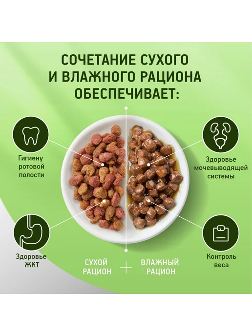 Сухой корм Kitekat Кошек Аппетитная для собак, телятина, 1,3 кг, фото 8